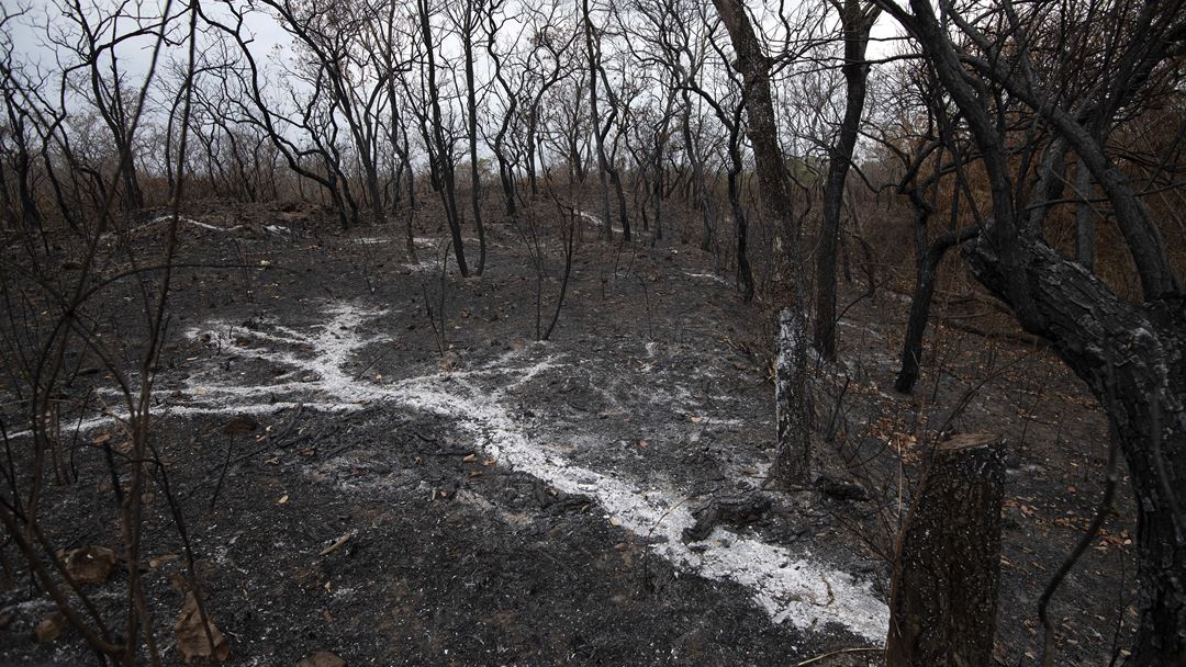 "Fui a ministra que mais combateu o crime ambiental na Amazónia", diz Isabella Teixeira à Renascença. Foto: Rogério Florentino/EPA