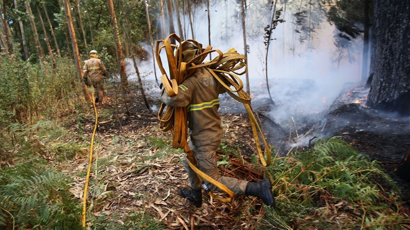 Incêndio em São Marcos, Albergaria-a-Velha (arquivo). Foto: Nuno André Ferreira/Lusa
