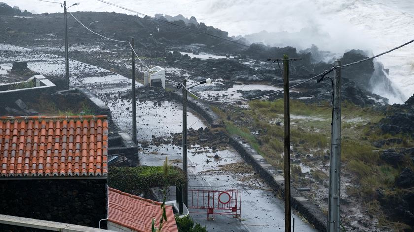 Foto: António Araújo/ Lusa