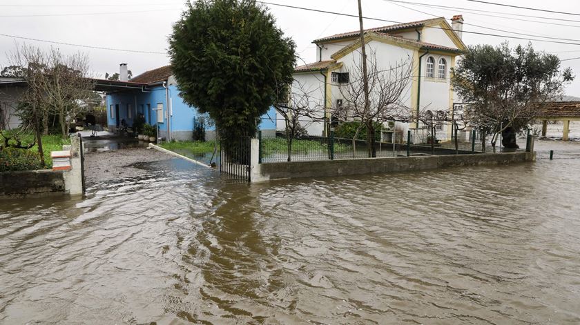 Foto: Paulo Novais/ Lusa