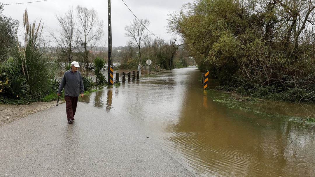 Estrada inundada pelo rio Mondego, em Figueiró do Campo. Foto: Paulo Novais/Lusa