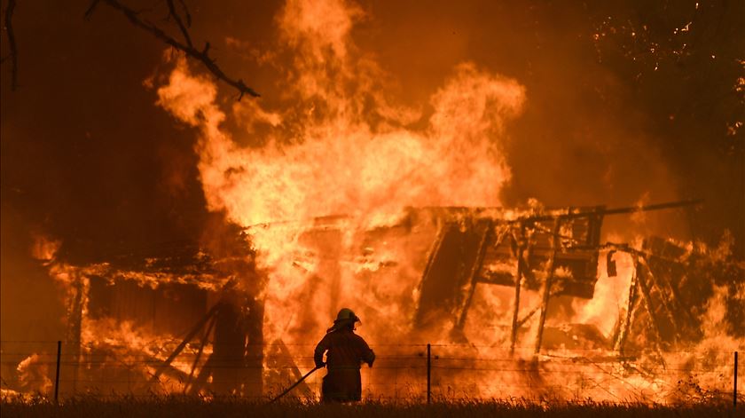 Foto: Dan Himbrechts/EPA