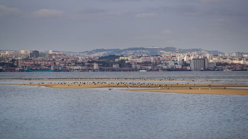 Foto: Mário Cruz/Lusa