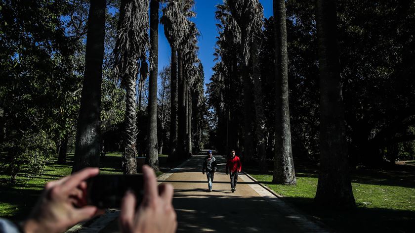Belém. Jardim Botânico Tropical reabre com espaços renovados