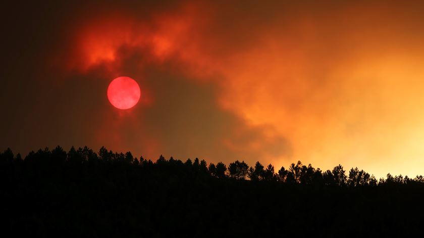 Incêndio no pinhal de Oleiros, distrito de Castelo Branco. Foto: António José/Lusa