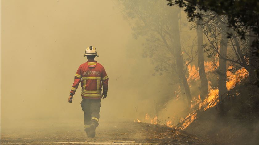 Foto: Paulo Cunha/Lusa