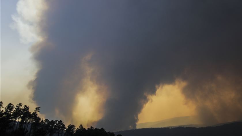 O incêndio em Oleiros destruiu uma área equivalente à cidade do Porto. Foto: Paulo Cunha/Lusa