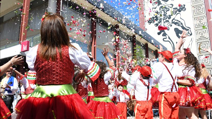 Festa da Flor em Vila Nova de Famalicão. Foto: Câmara de Vila Nova de Famalição