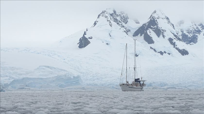 Coligação para a Antártida e o Oceano Austral vence Prémio Gulbenkian para a Humanidade 2025