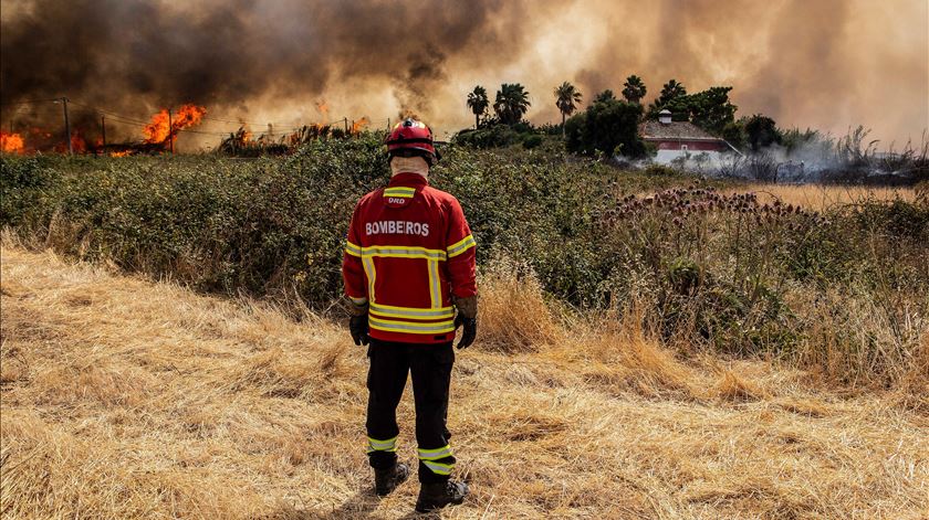 “Investir mais na prevenção do que no combate aos fogos”. Experiência portuguesa debatida na ONU