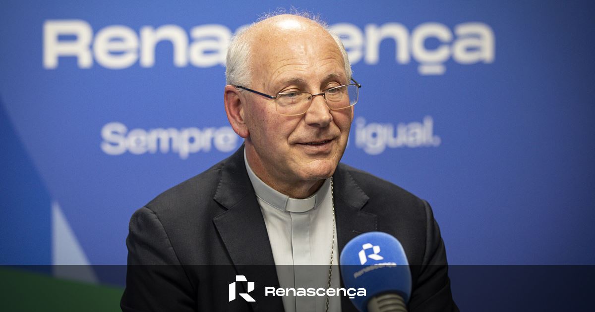 ​Com ou sem Grupo Vita, combate aos abusos na Igreja 