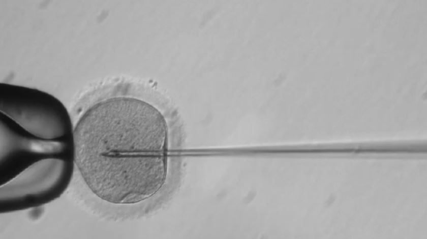 Conselho Nacional de Ética recomenda regulamentação sobre edição genética