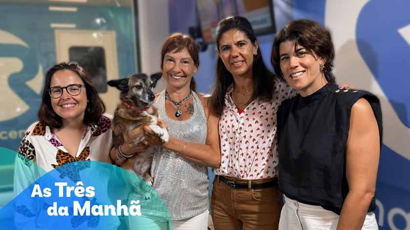 “Como se houvesse amanhã”. Teresa Santo apresenta campanha de prevenção rodoviária