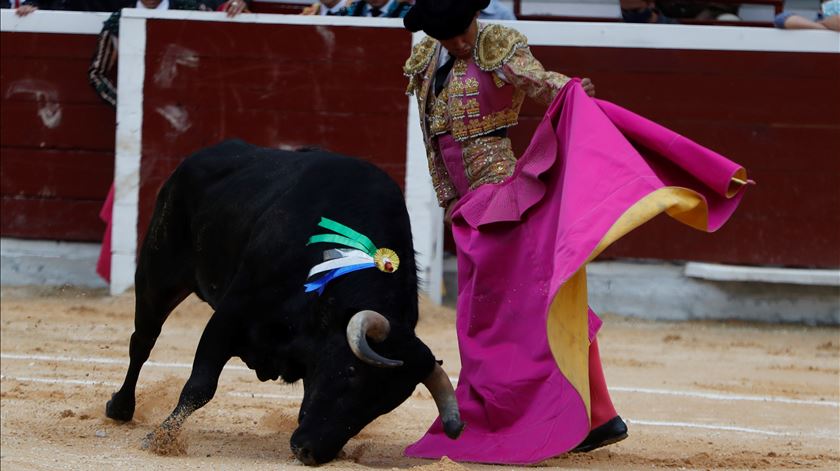 França. Parlamento discute o fim das touradas na quinta-feira