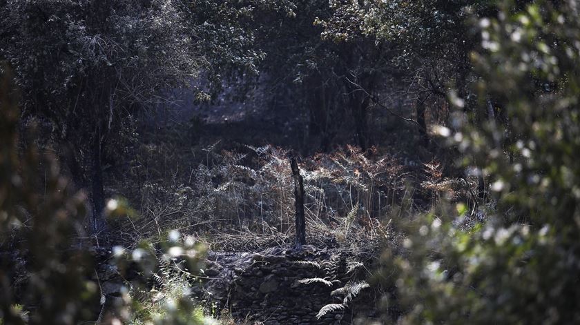 Foto: Joana Bourgard/RR
