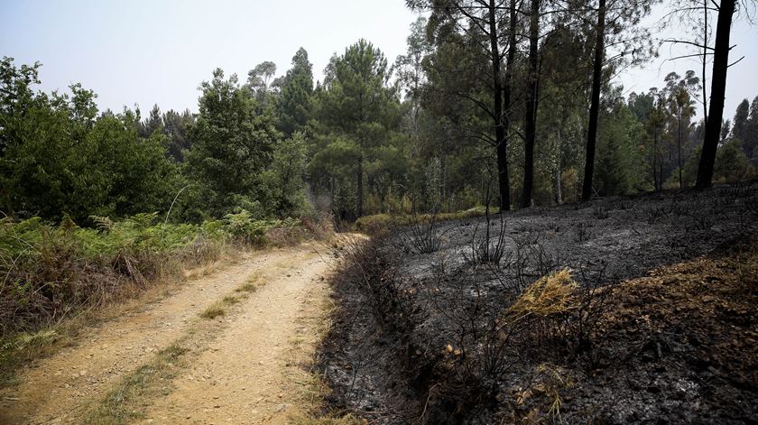 Foto: Joana Bourgard/RR