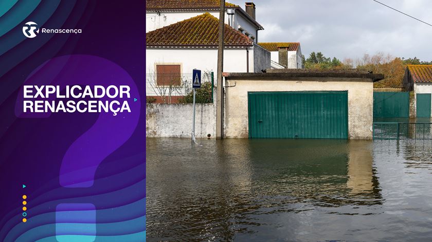 Zonas ribeirinhas do Mondego em risco. Por que é que os diques podem ceder?
