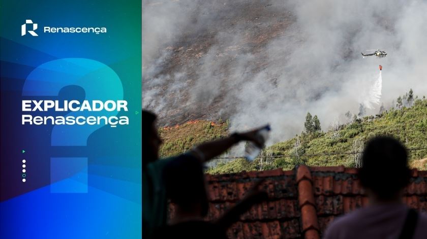 Investigação a meios aéreos de combate a incêndios. O que está em causa?