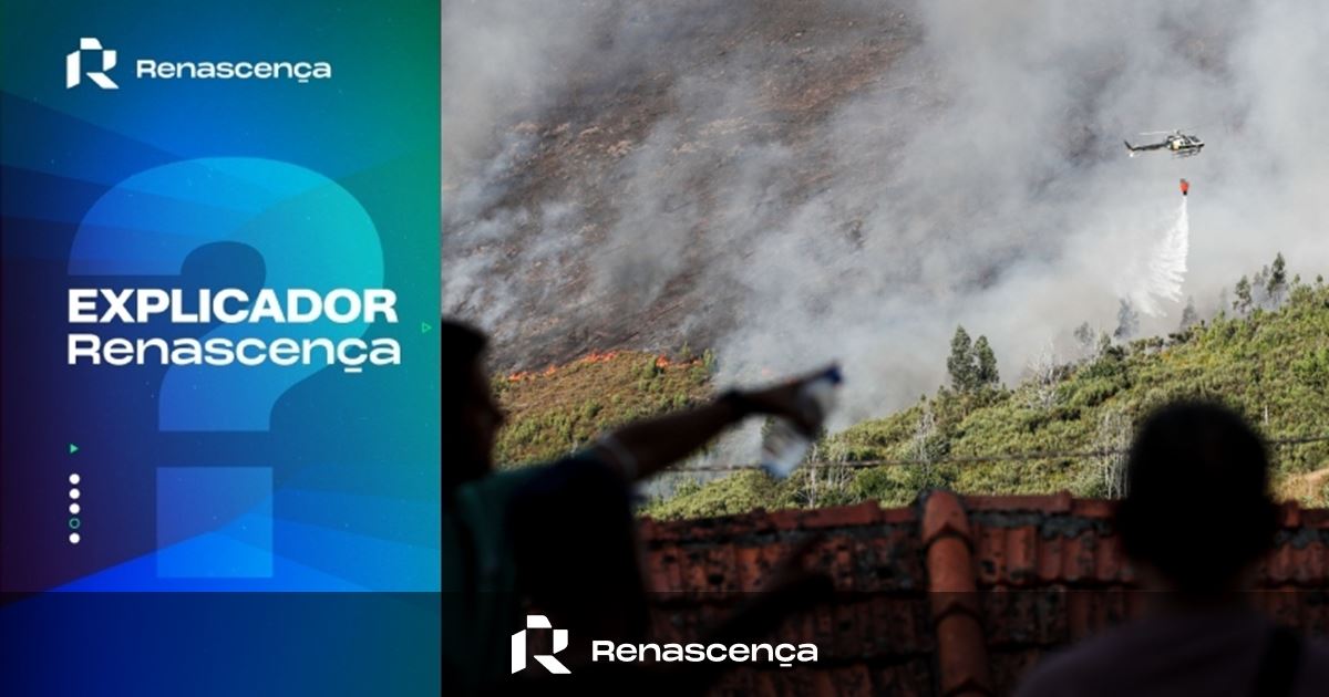 Investigação a meios aéreos de combate a incêndios. O que está em causa?