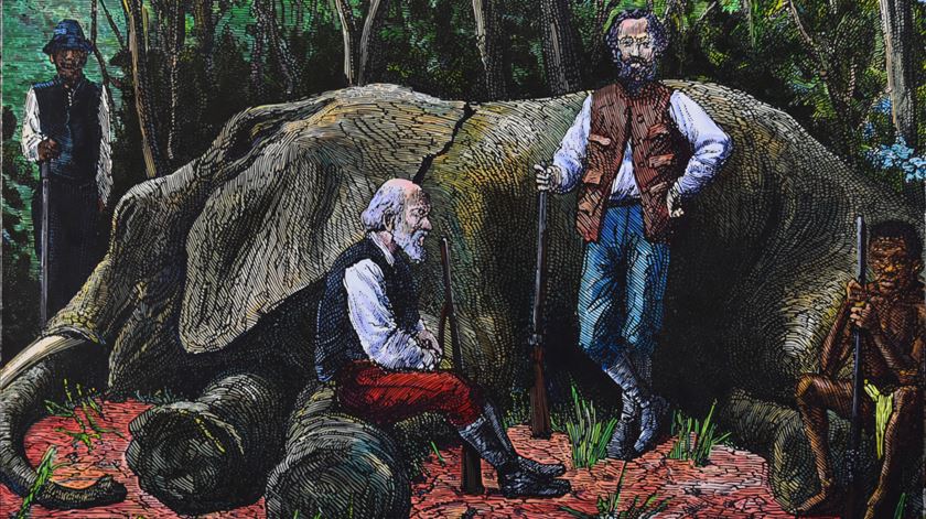 H&#225; um “Mundo de Aventuras” para viver em &#201;vora