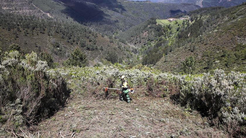 Proprietários têm até dia 31 de maio para limpar terrenos
