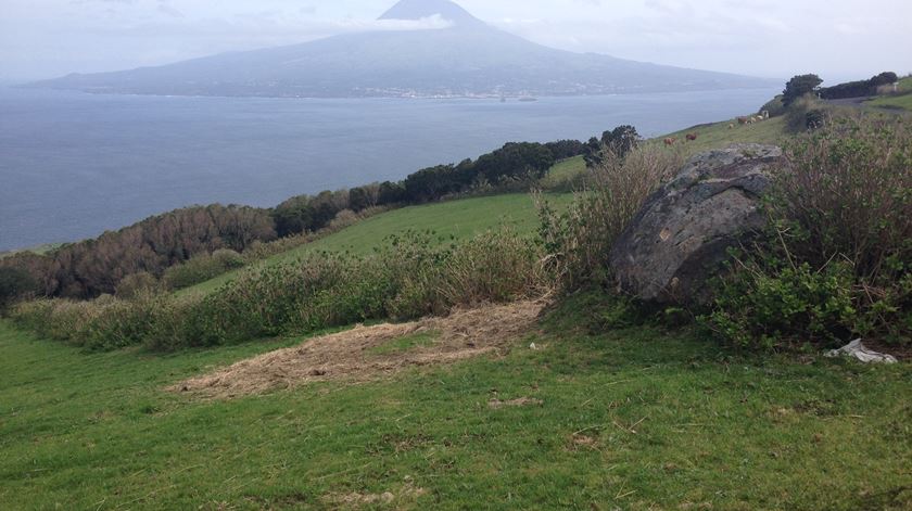 Covid-19. Alunos do Faial e do Pico vão ser testados