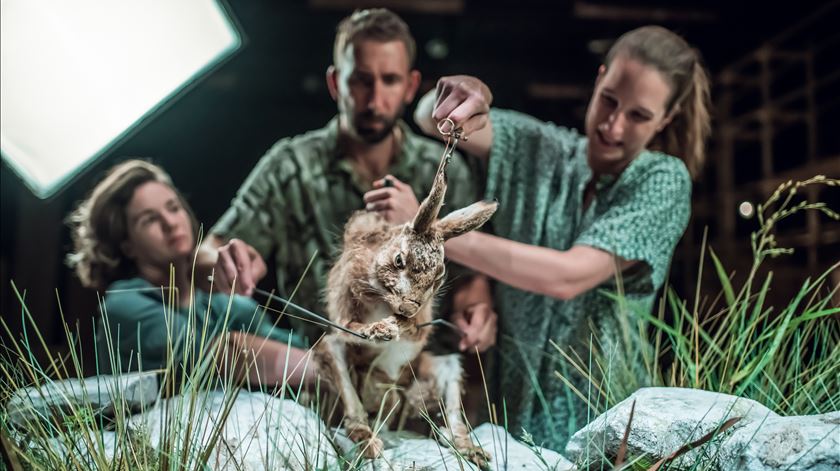 ​"O que é isto de estar vivo?" Festival Internacional de Marionetas arranca no Porto