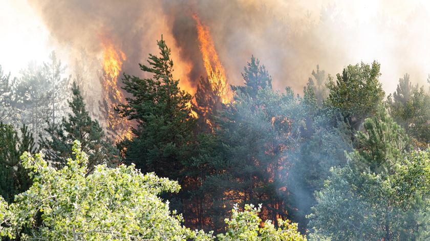 Alterações no Governo sem interferência na preparação da próxima época de incêndios
