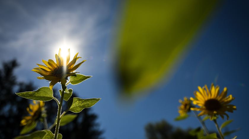 Foto: Philipp Guelland/EPA