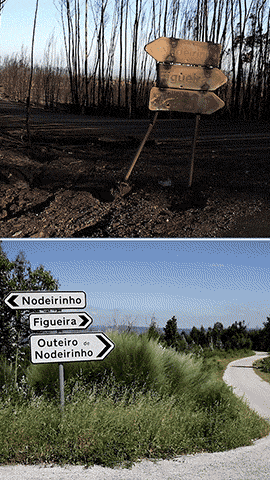 À saída da aldeia do Nodeirinho, a vegetação volta a tomar conta do espaço à volta das estradas.
