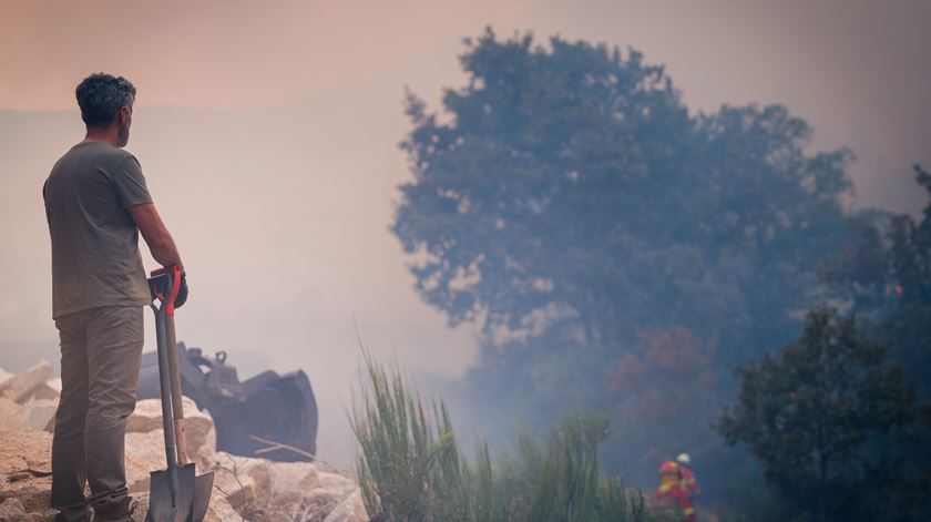 Empresas afetadas por incêndios podem ficar isentas até um ano de contribuições para Segurança Social