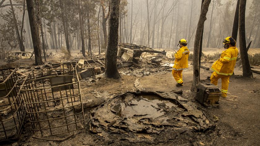  Foto: Peter Dasilva/ EPA