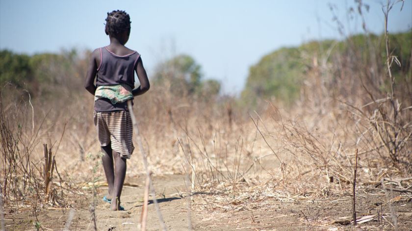 Conflito no Sudão pode ser prenúncio de crise alimentar na África Oriental
