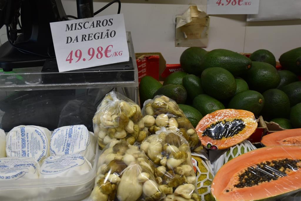 Míscaro a 50 euros o quilo - c