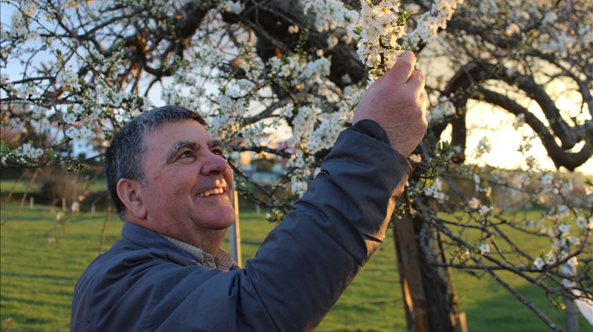 "Espero ainda em vida assistir à ordenação sacerdotal de mulheres" "Espero ainda em vida assistir à ordenação sacerdotal de mulheres"
