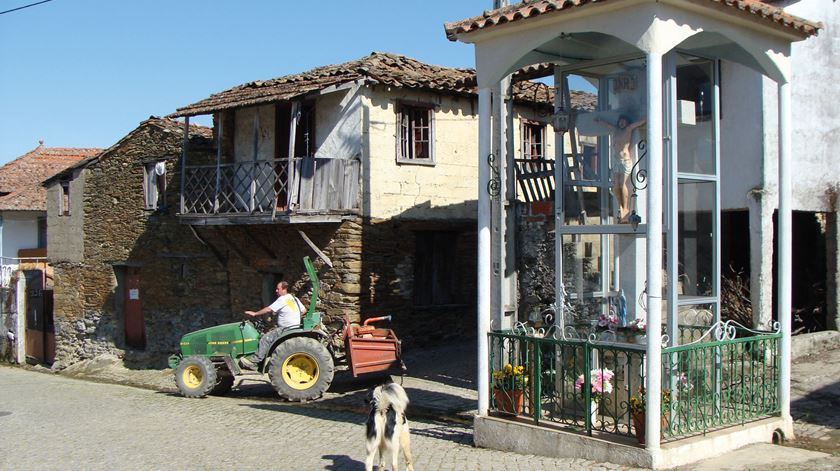 Foto-5