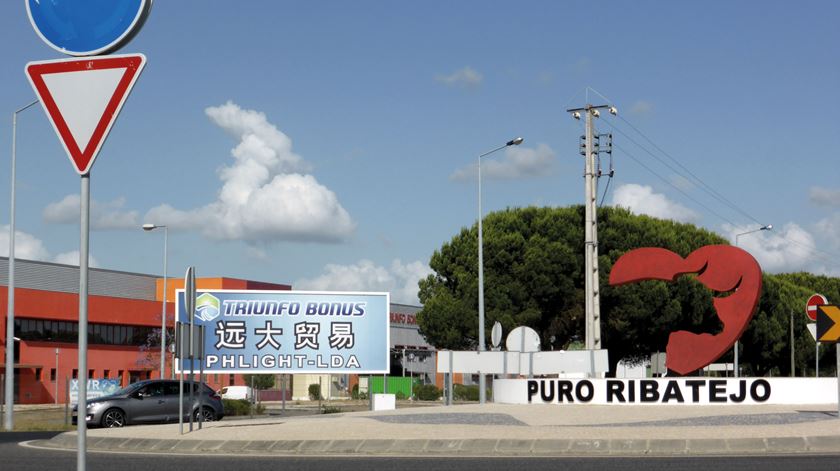 Foto-8