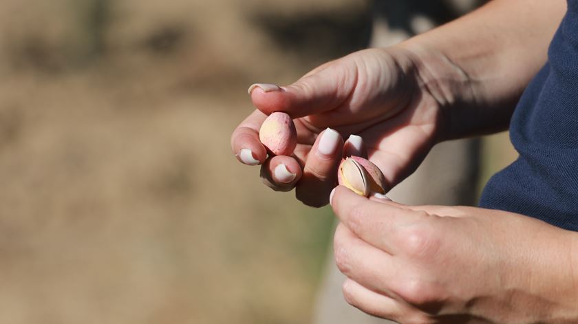 Foto: Francisco Pinto/Lusa
