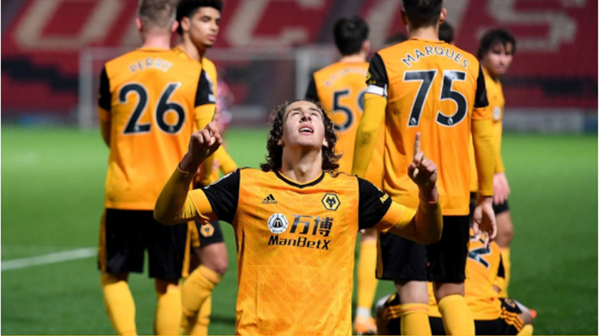  Foto: Wolves