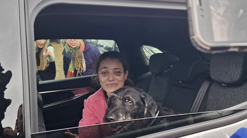 Final feliz: cão perdido depois de acidente de comboio em Córdova é resgatado e devolvido à família Final feliz: cão perdido depois de acidente de comboio em Córdova é resgatado e devolvido à família