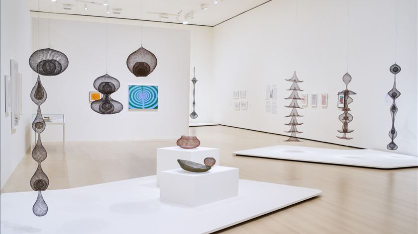 Galeria Ruth Asawa Foto DR
