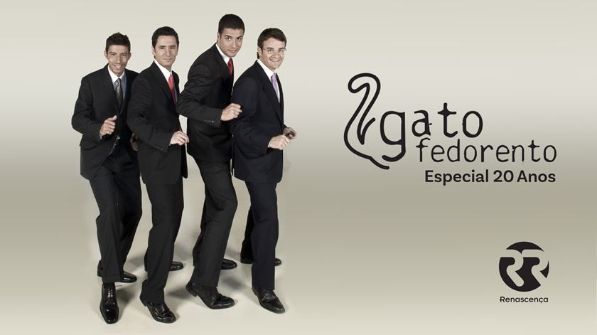 Que Gato Fedorento és? Descobre neste quiz Que Gato Fedorento és? Descobre neste quiz