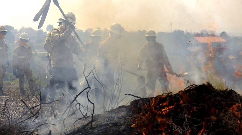 Gips, GNR, exercício simulação fogos, floresta Abril 2018 Foto: Teresa Abecasis