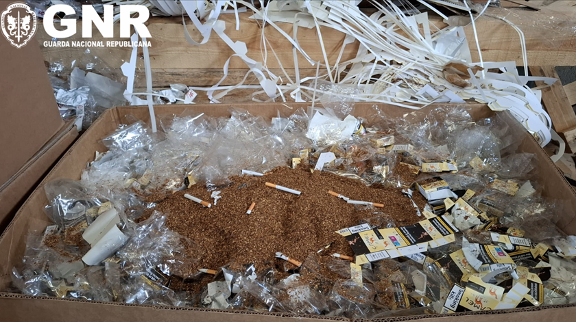 GNR desmantela fábrica clandestina de cigarros em Vila Pouca de Aguiar. Foto: GNR