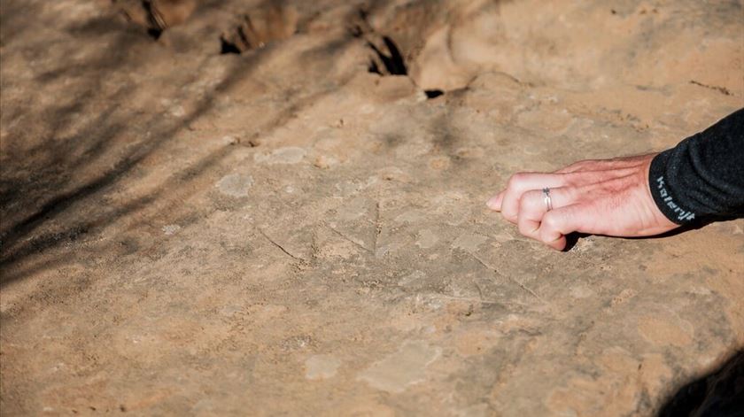 Em Bragança há sóis com 6 mil anos gravados em rocha