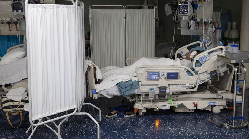 Juristas Católicos vão lutar pela revisão da legislação da eutanásia