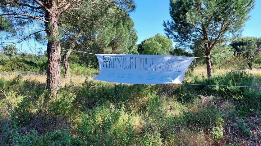 Ativista condenada após plantar sobreiros em Alcochete. Climáximo fala em “repressão” Ativista condenada após plantar sobreiros em Alcochete. Climáximo fala em “repressão”