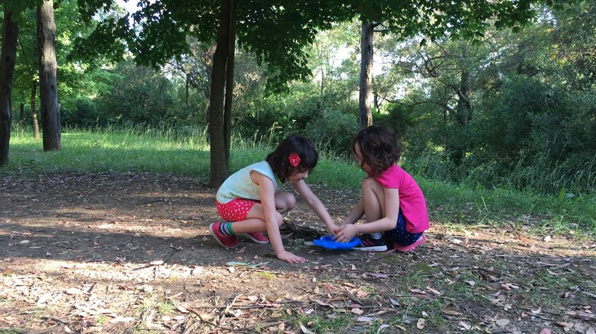 Movimento Bloom quer tirar crianças do sofá e levá-las a subir árvores Movimento Bloom quer tirar crianças do sofá e levá-las a subir árvores