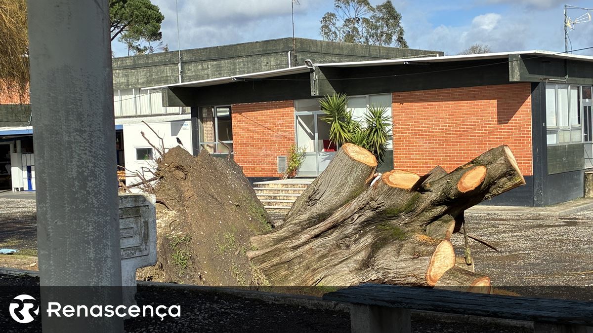 Comunidade junta-se para reparar escola após Kristin deixar "cenário de guerra"