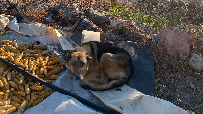 Foto: Jorge Ferreira